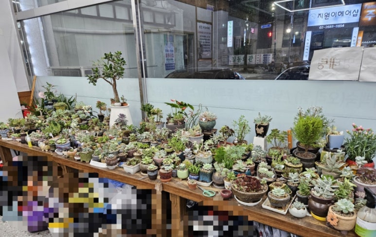 명동능이백숙 이미지
