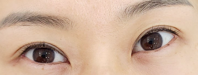 올데이래쉬 이미지