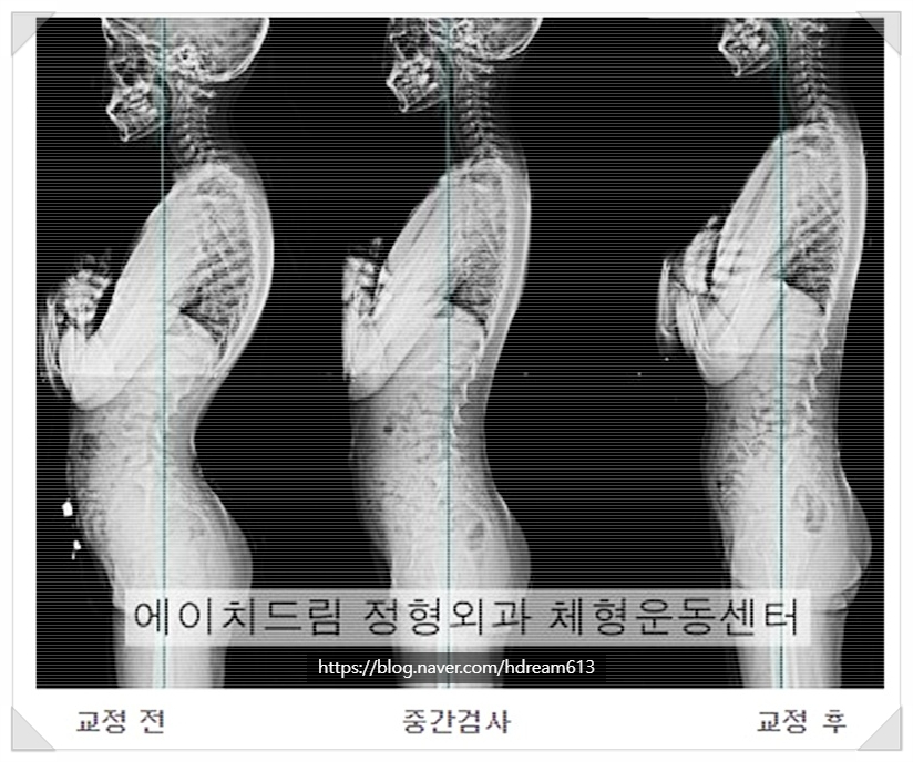 지지에이치드림 이미지