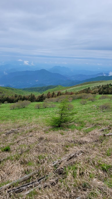 소백산국립공원 삼가탐방지원센터 이미지