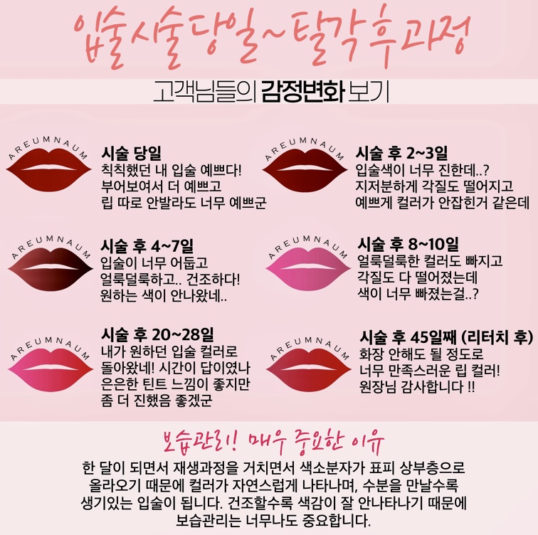나움 이미지