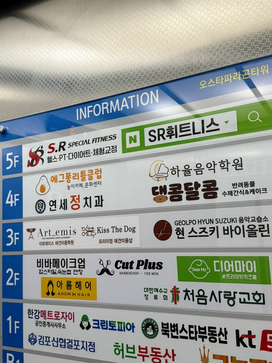 김포 걸포동 강아지 수제간식, 노견도 잘 먹는 댕콤달콤 — 사진 2