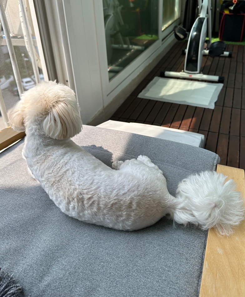채움 케이크샵 이미지