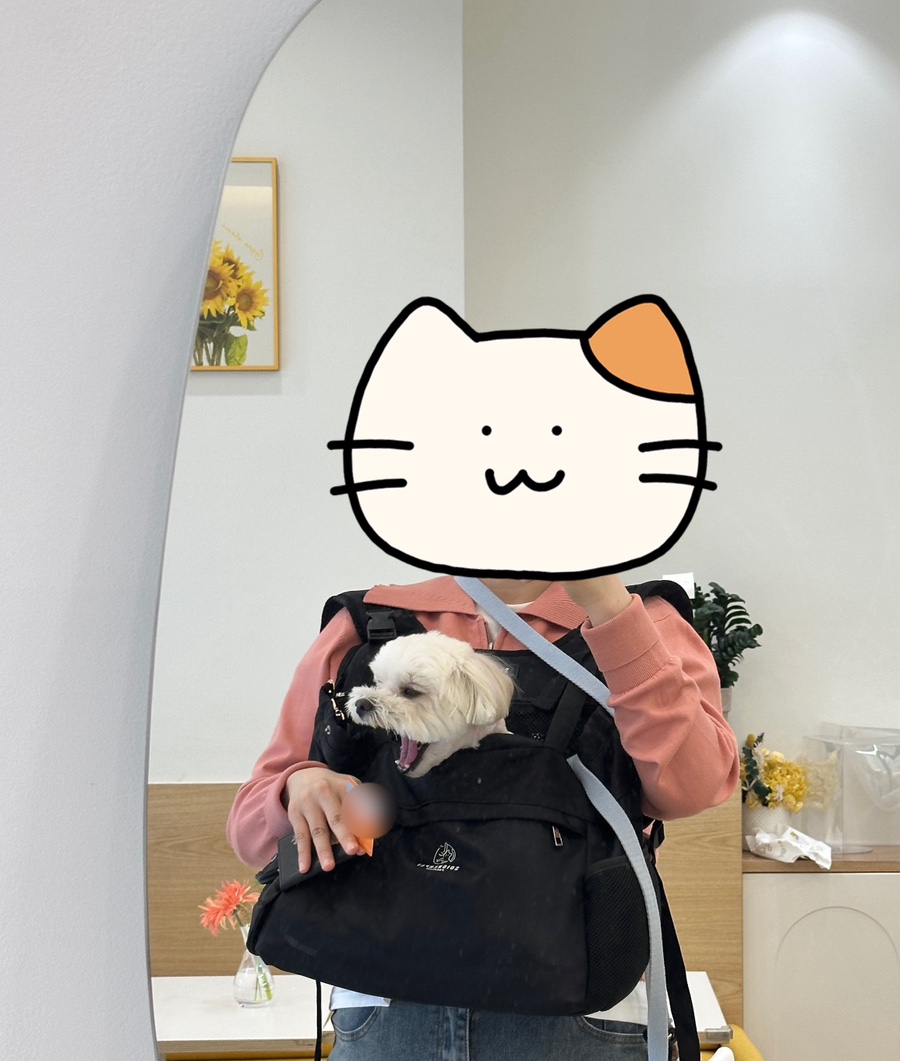 채움 케이크샵 이미지