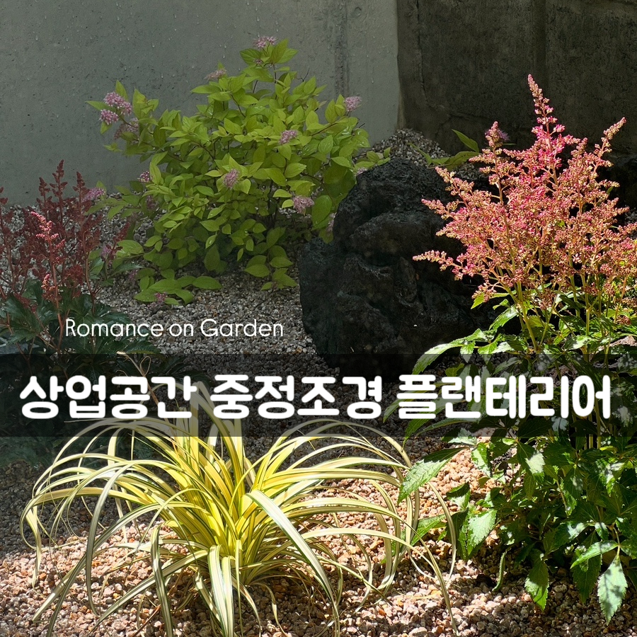 로맨스온가든 이미지