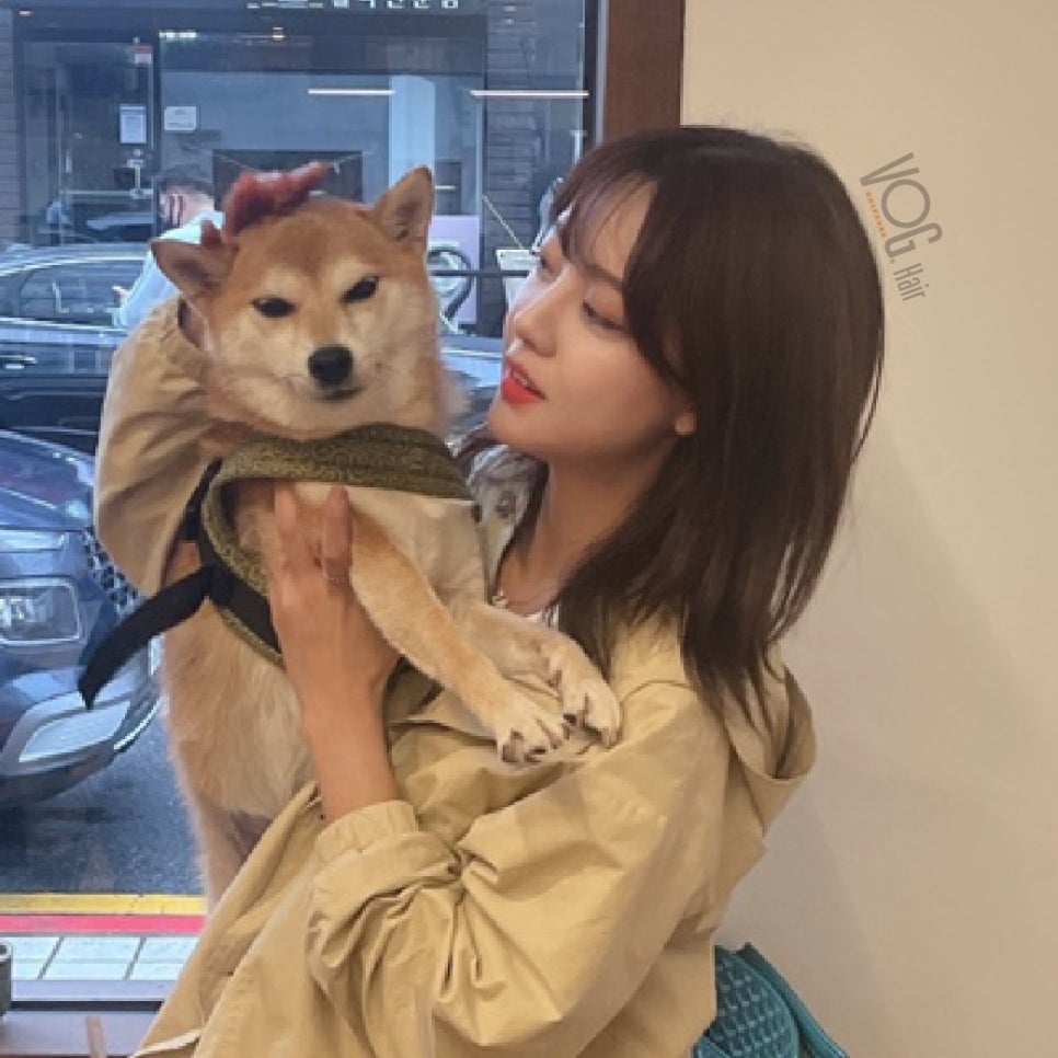 보그헤어 오목교 안양천로점 이미지