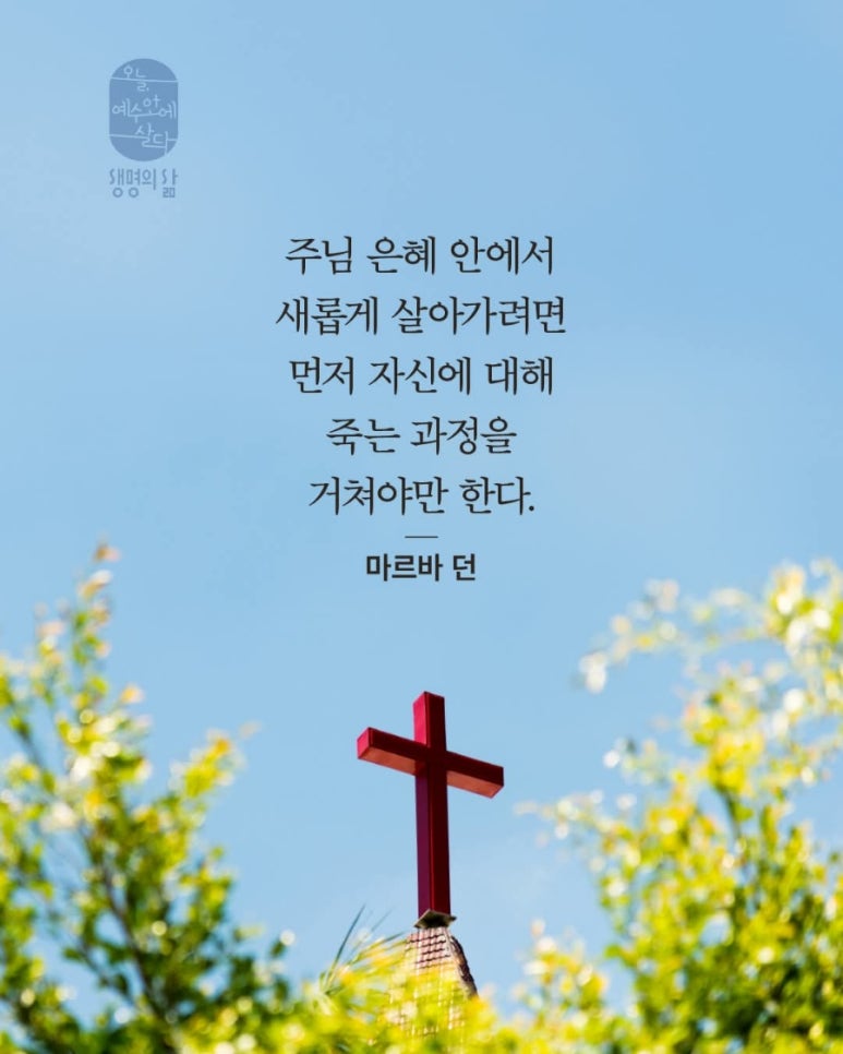 날마다대청소 이미지