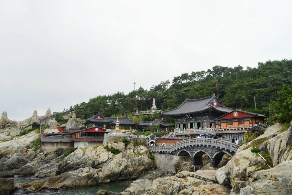 영덕특산물 이미지