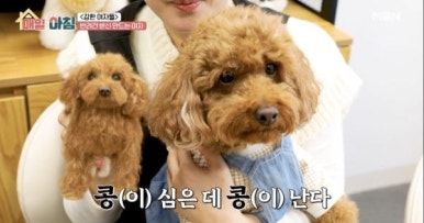 콩순이네 이미지