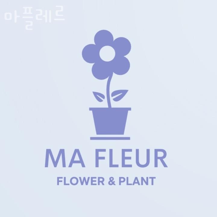 플레르나 이미지
