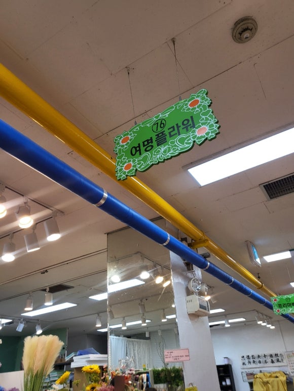 여명플라워 이미지