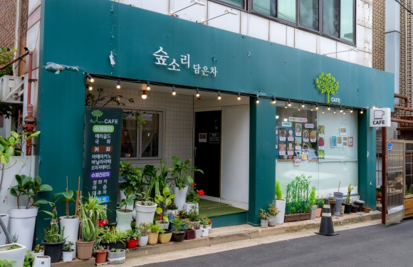 숲소리담은차 이미지