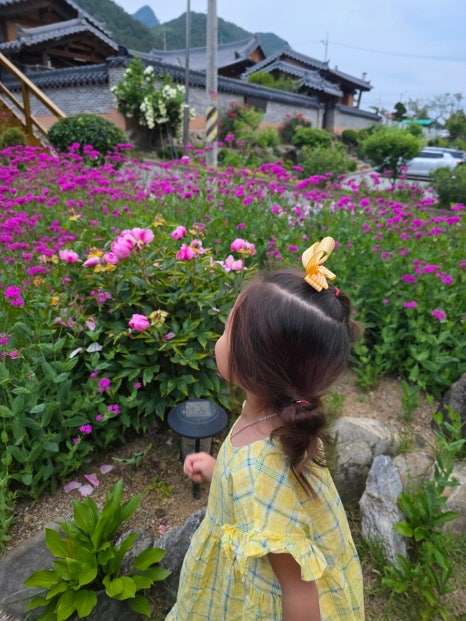 단양추억펜션 이미지