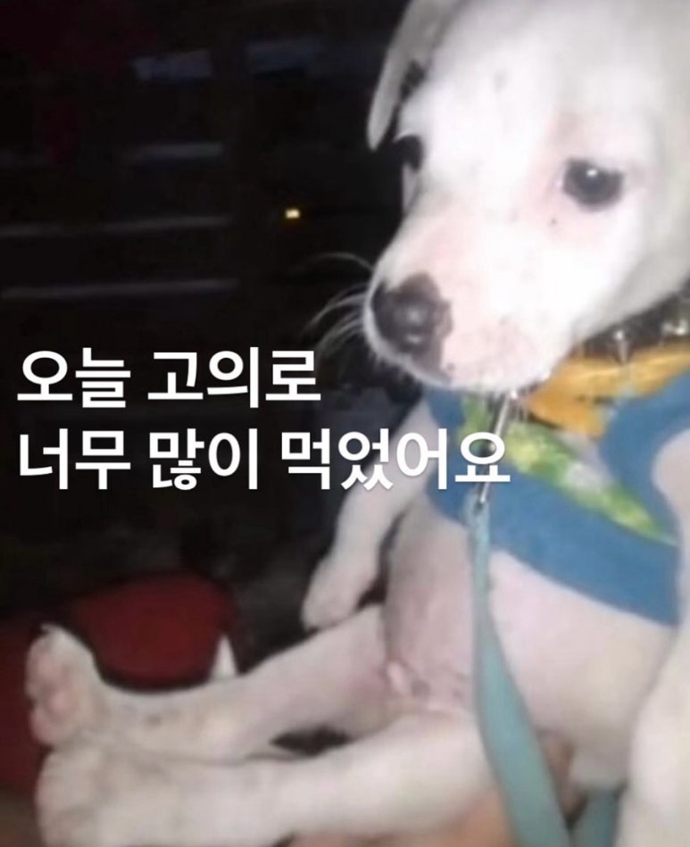 반반치킨 이미지