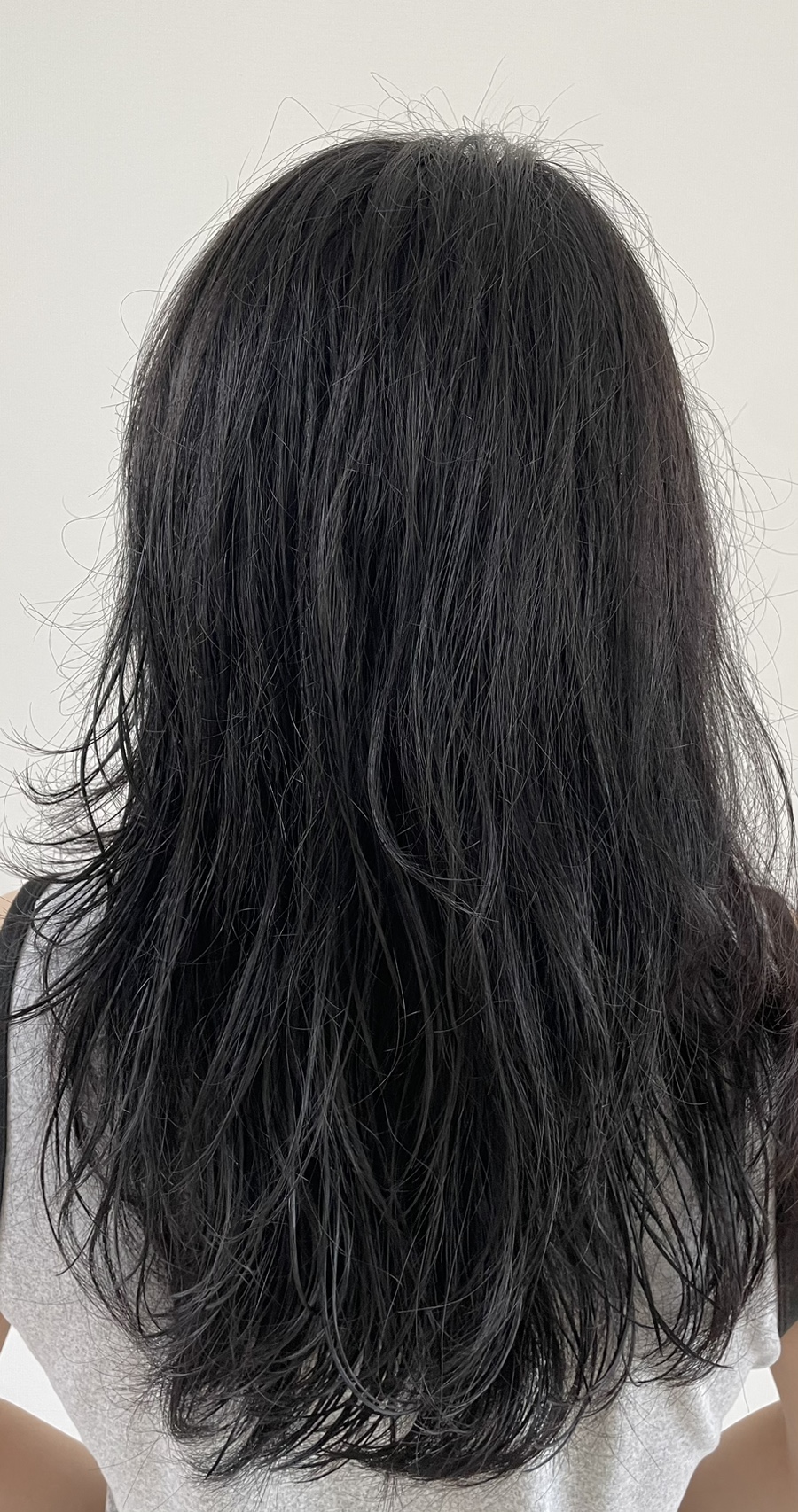 영's헤어 이미지