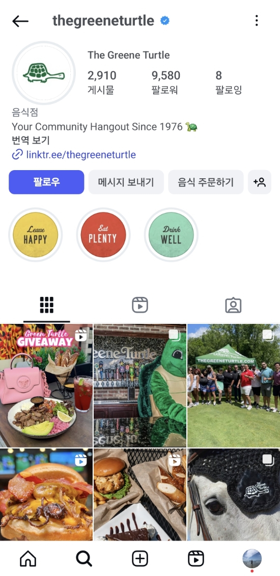 그린터틀 이미지