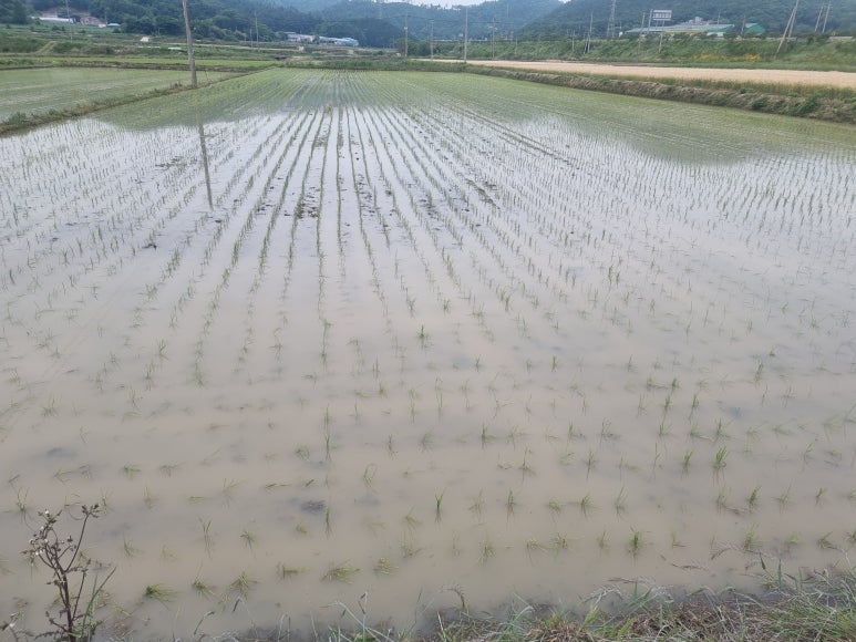 남파랑카페 이미지