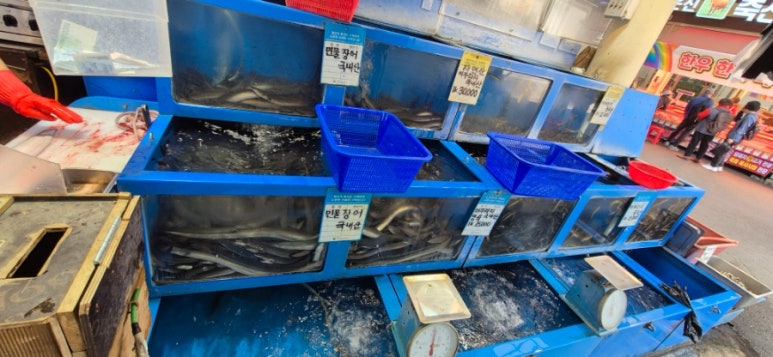 성보상회 이미지