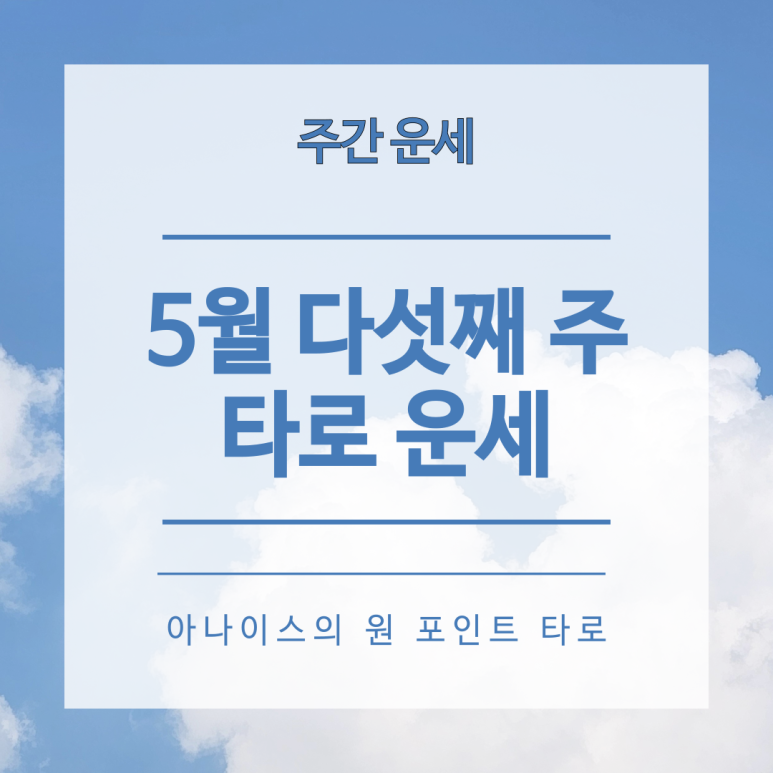 (주)아나이스 이미지