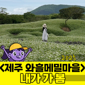 풀마을법인 이미지