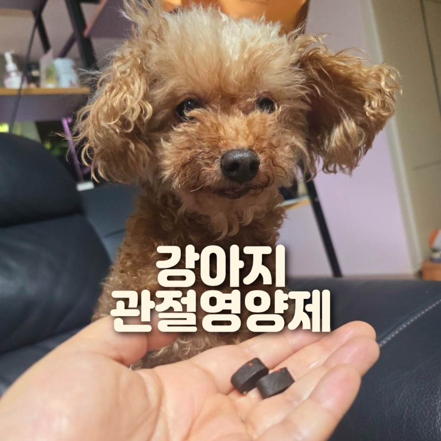 인 이미지