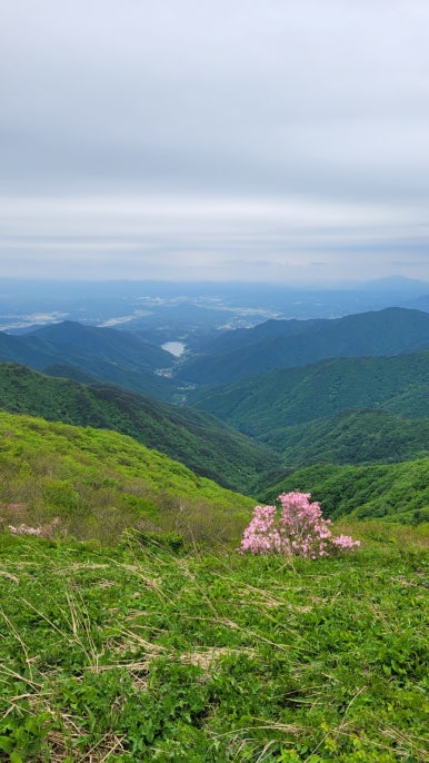 소백산국립공원 삼가탐방지원센터 이미지