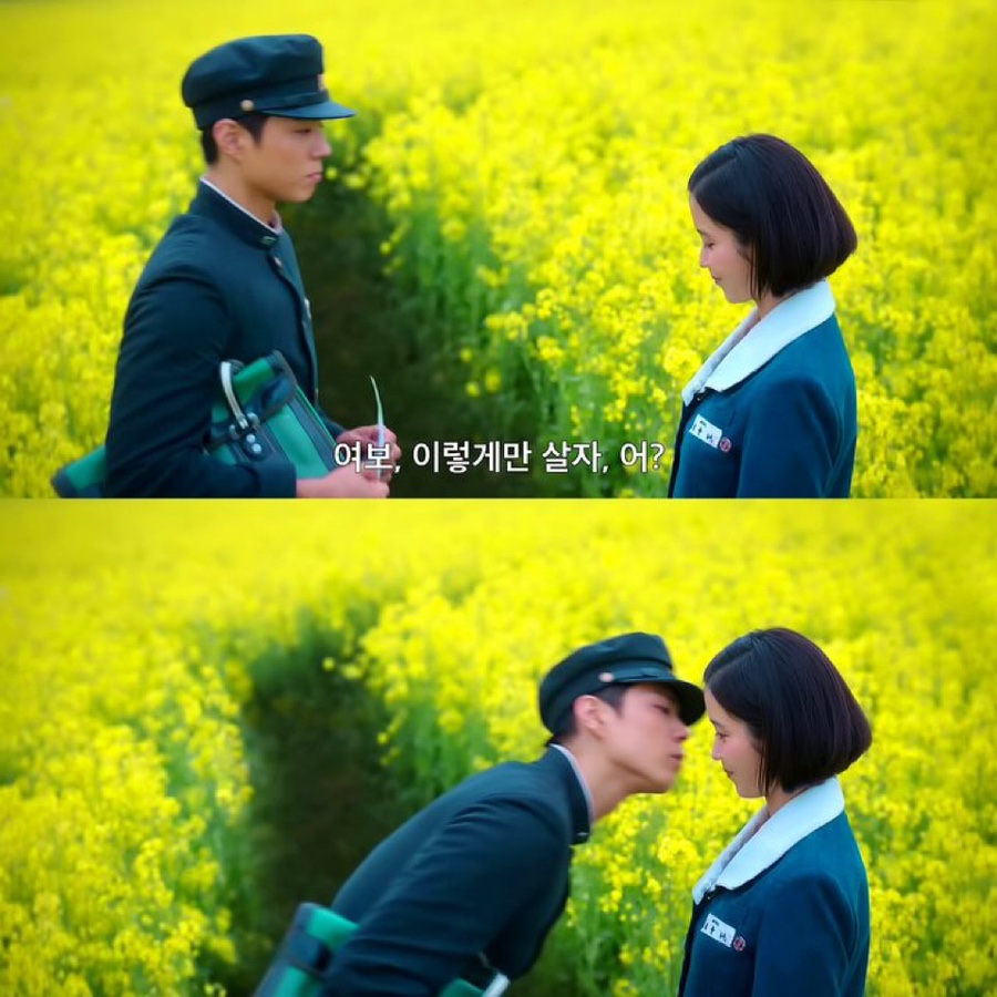 서롤 이미지