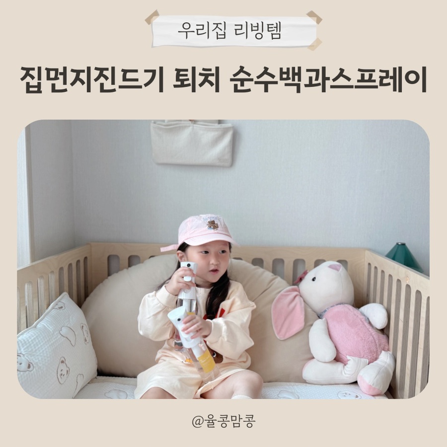 버그클린 이미지