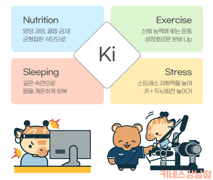 키네코어 이미지