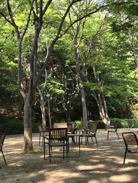 화사한날 이미지