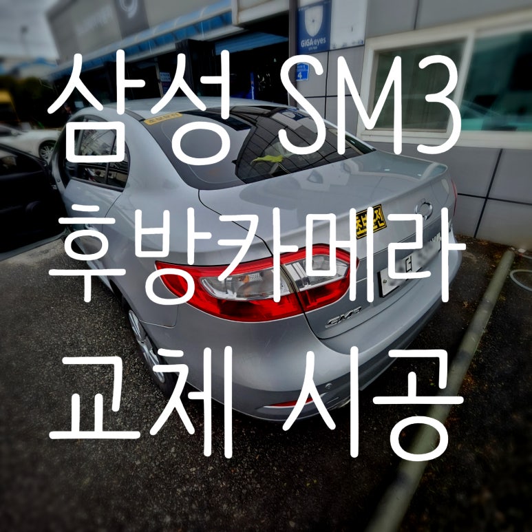 광쓰게러지 이미지