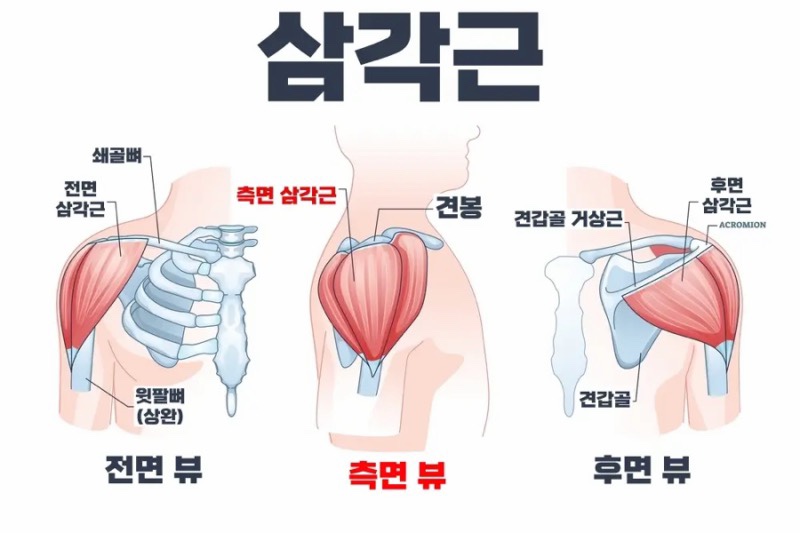토니바디PT용마점 이미지