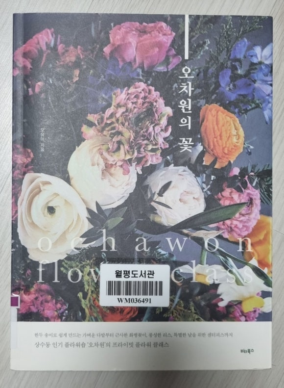 오차원 이미지