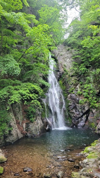 소백산국립공원 삼가탐방지원센터 이미지