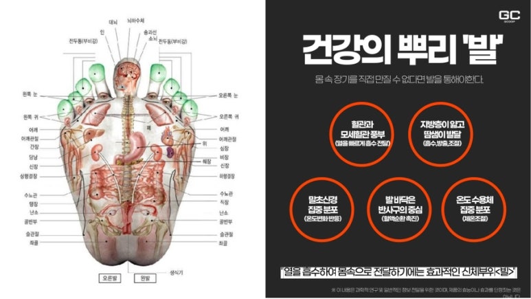 테라 플러스 이미지