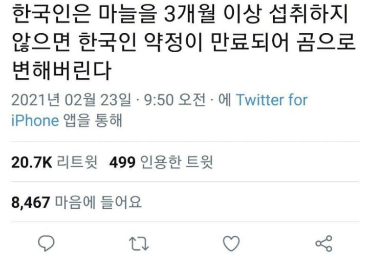 코코사 이미지
