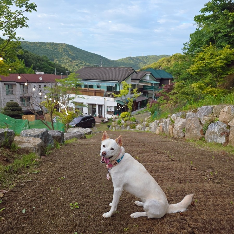 불당리327 이미지