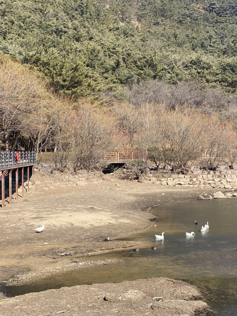 백우정 이미지