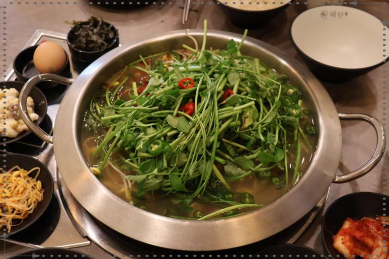 통통한오징어 이미지