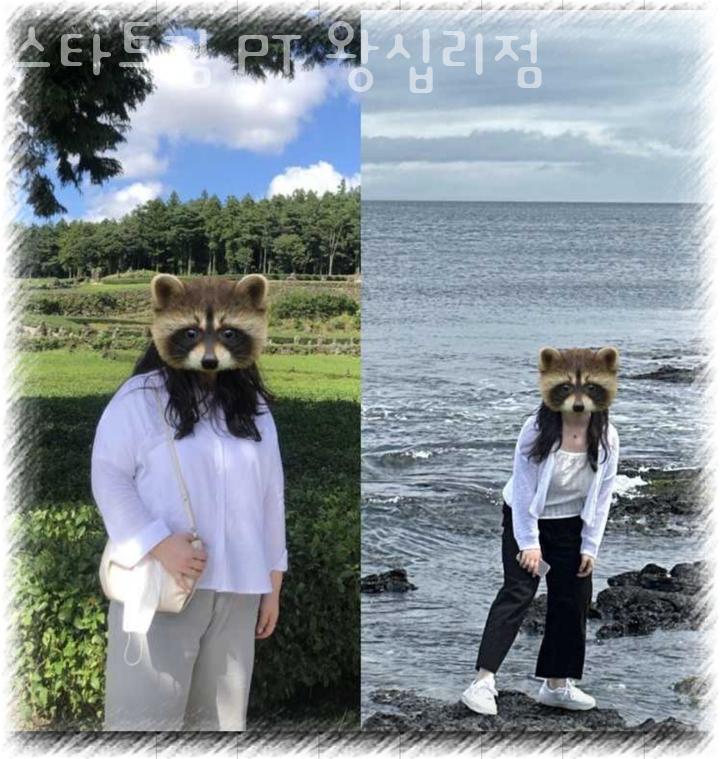 스타트짐 이미지
