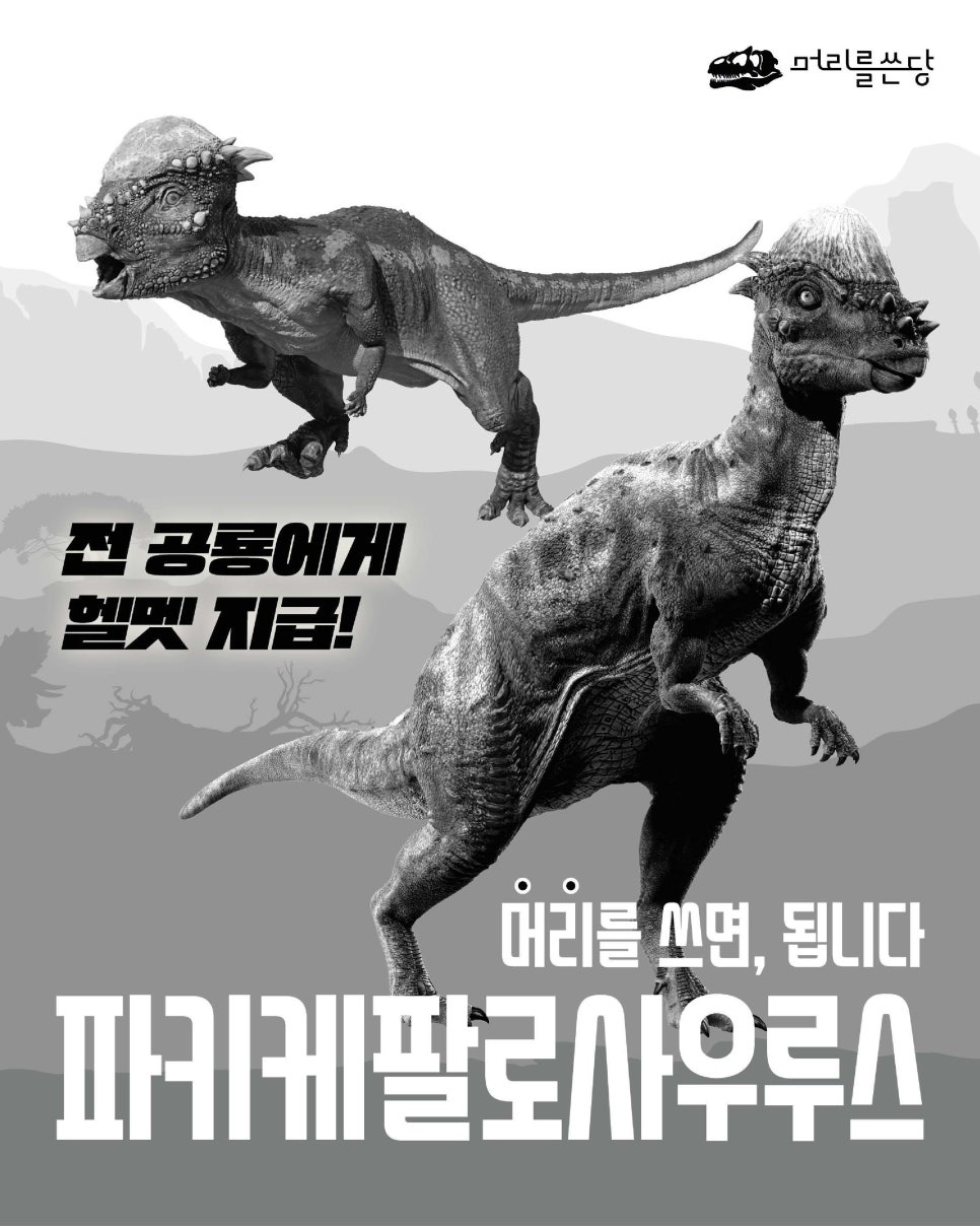 공룡발톱 이미지