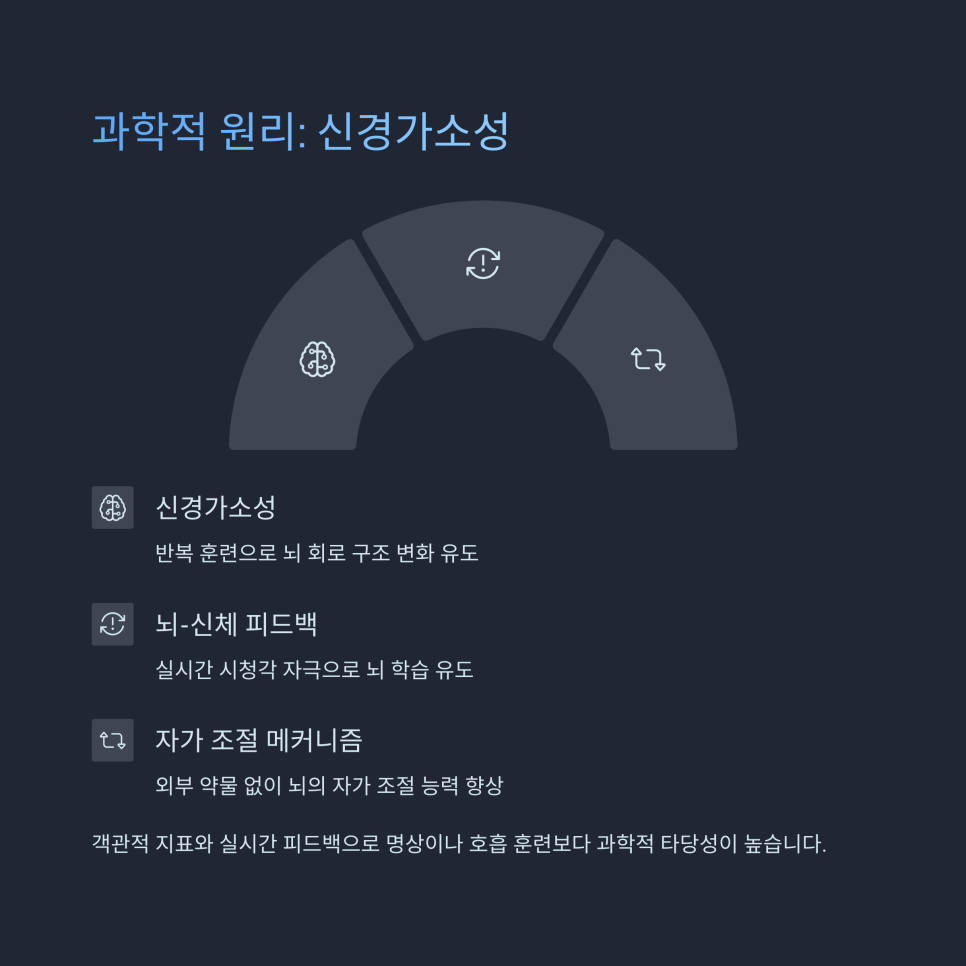 피드백기술 이미지