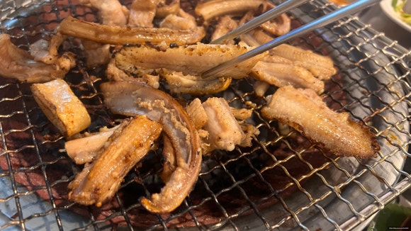멍텅구리꼼장어 이미지