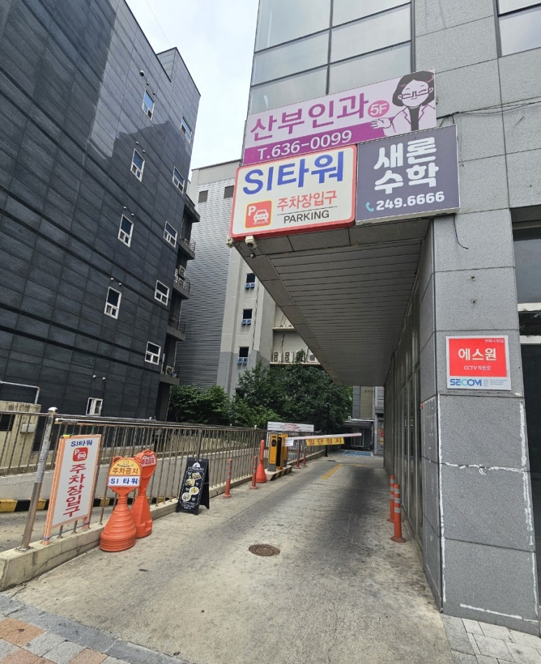 피오르달리조대구 이미지