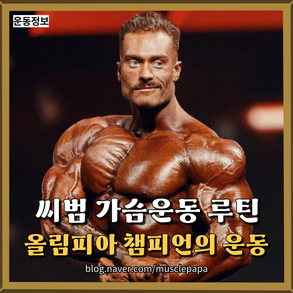 파파크리스 이미지