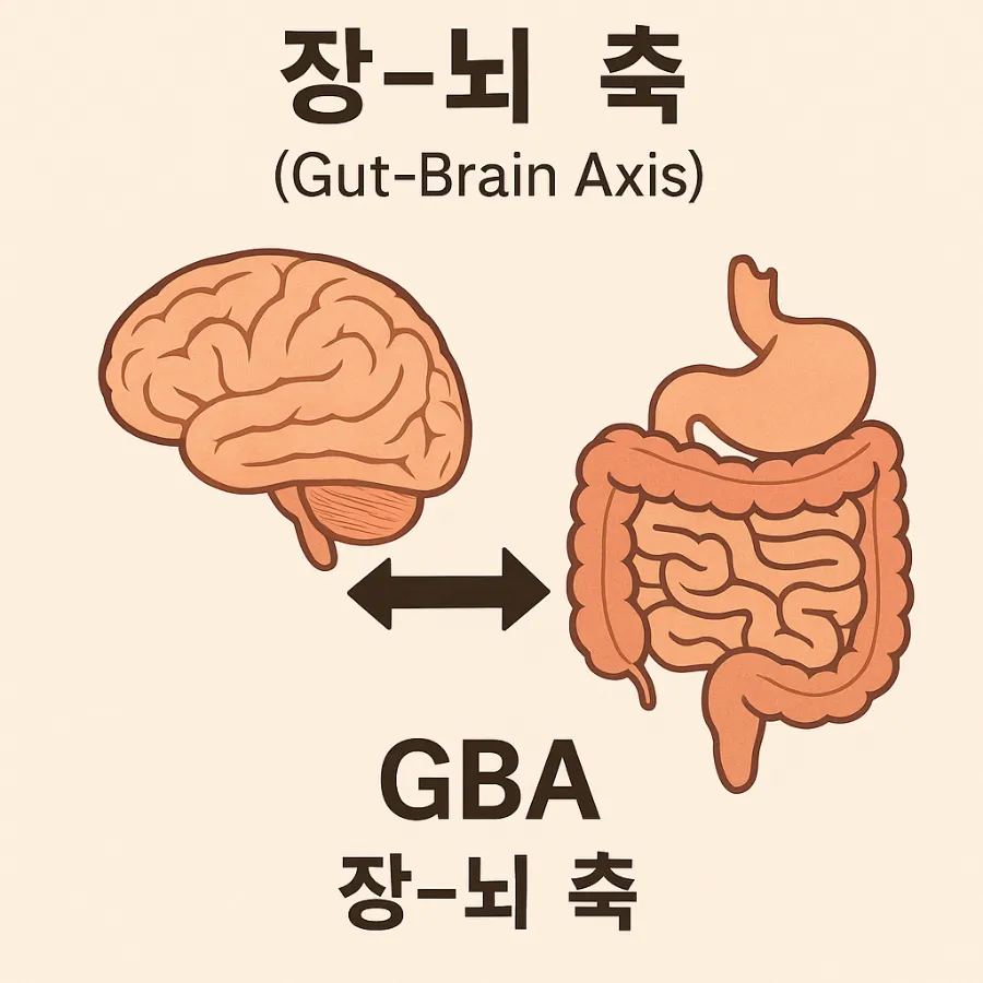 눈빛한의원 이미지