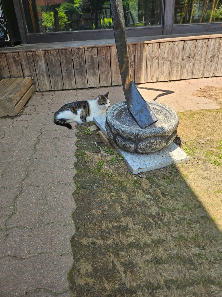 바다숲 풀내음 이미지