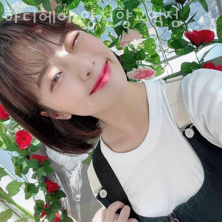하디헤어 이미지