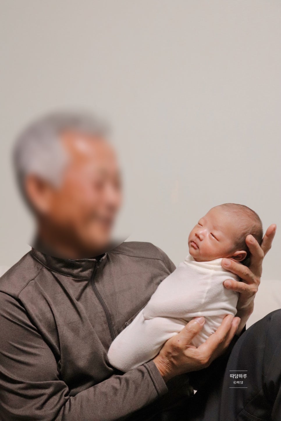 따담 이미지