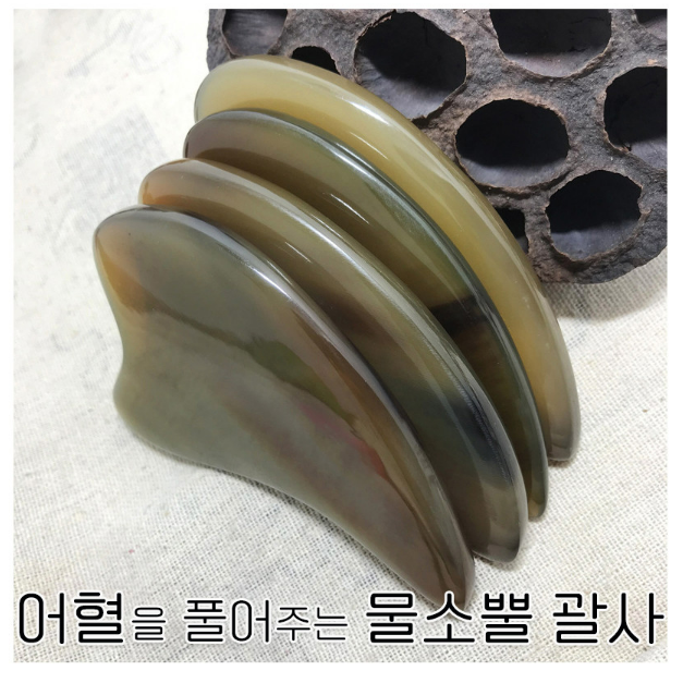 코코린느 이미지